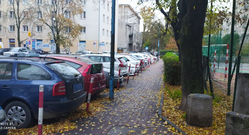 Zdjęcie Grzegorz  Wysocki - fotografia