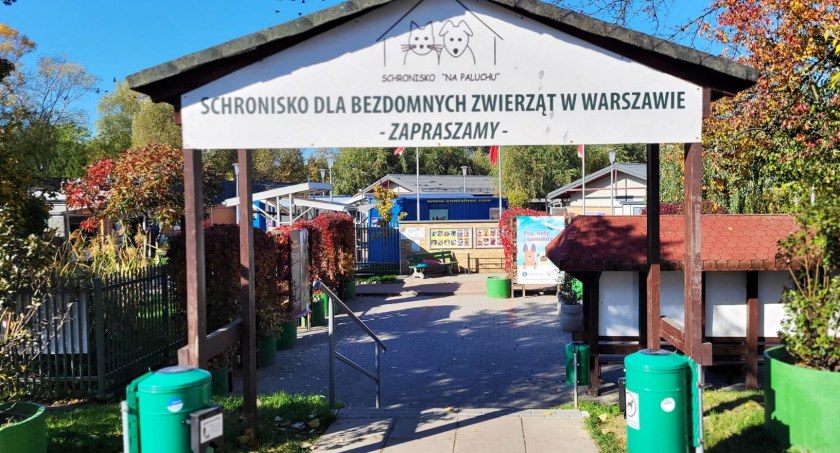 Zdjęcie Grzegorz  Wysocki - fotografia