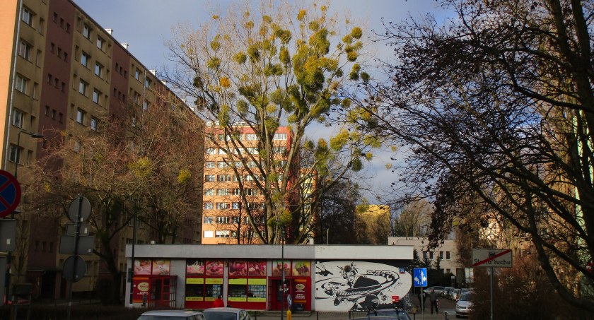 Zdjęcie Jerzy  Pawlonek  - fotografia