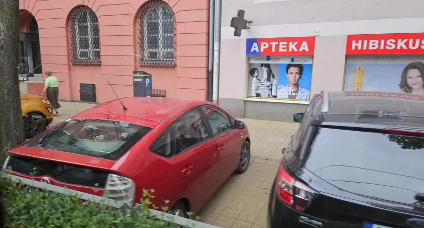 Zdjęcie Grzegorz  Wysocki - fotografia