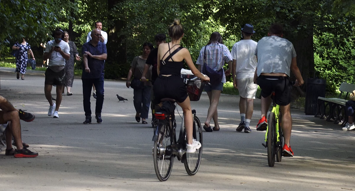 konsultacje, Sonda popierasz jazdę rowerem terenie parków - zdjęcie, fotografia
