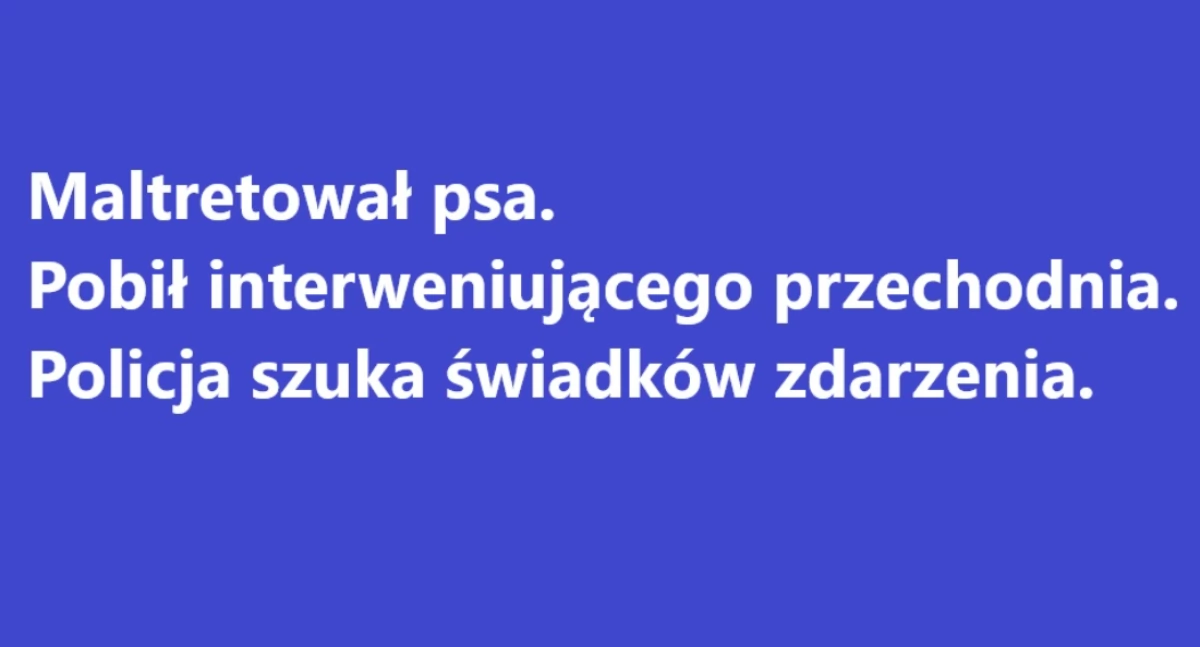 Bezpieczeństwo, Policja szuka świadków rozboju - zdjęcie, fotografia