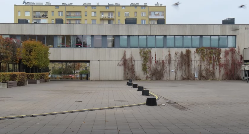 Ciekawostki z Zieleniaka, „Zieleniaku” tradycja kubełkowa - zdjęcie, fotografia