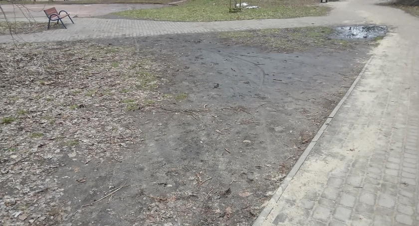 zieleń, Trawnikowy ambaras proste rozwiązania - zdjęcie, fotografia
