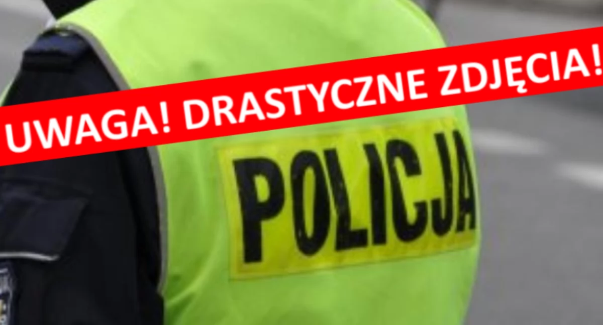 Bezpieczeństwo, rozpoznajesz człowieka - zdjęcie, fotografia