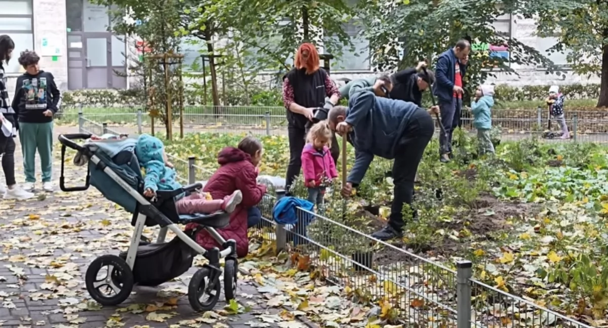 zieleń, Sadzimy Ochotą urzędzie pykło - zdjęcie, fotografia