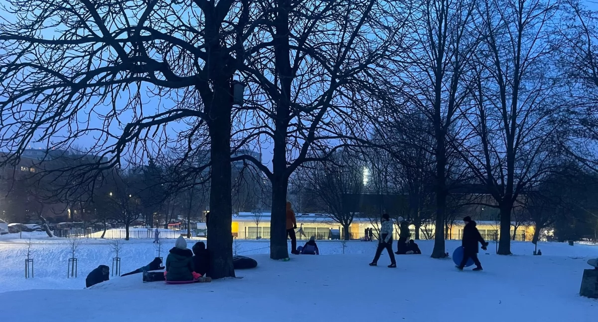 rekreacja, zjeżdżaj sankach niszczysz trawę - zdjęcie, fotografia