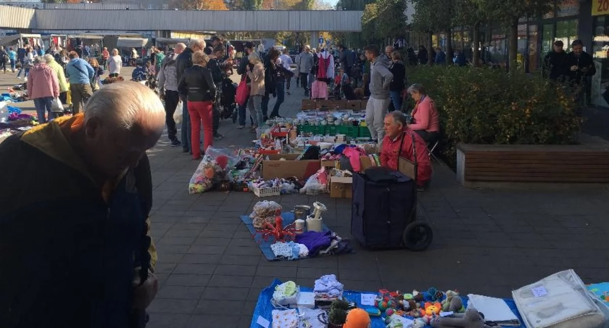 Zieleniak, będą Garażówki Burmistrz wyklucza rozważa - zdjęcie, fotografia