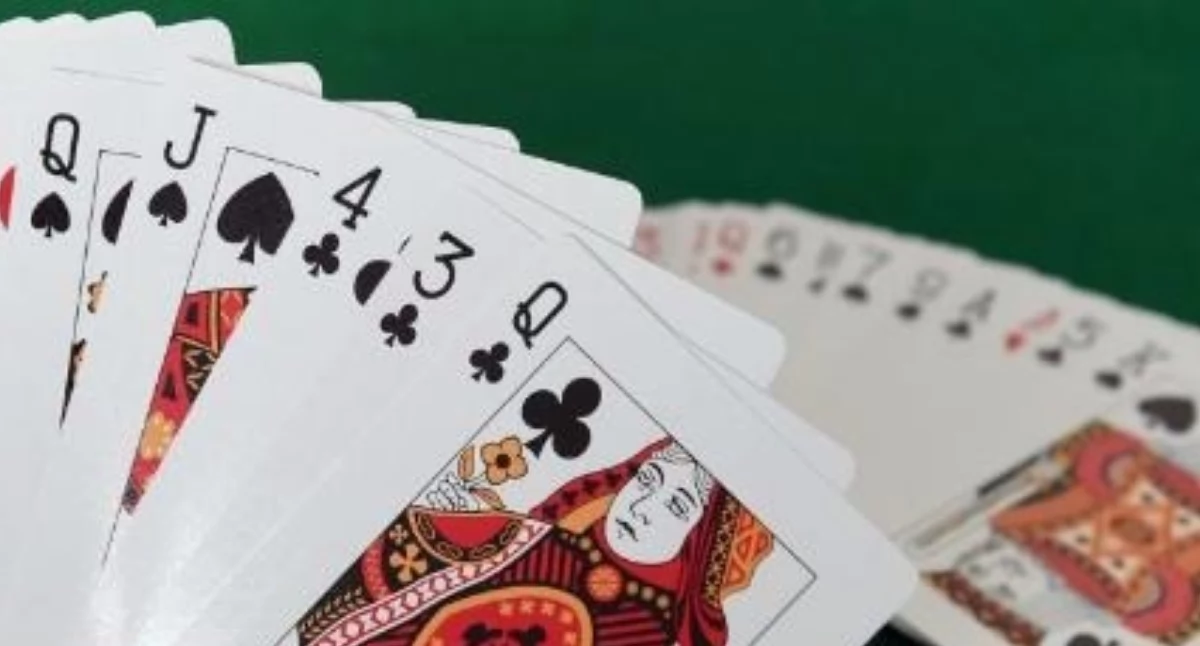 sport, Poniedziałki brydżem - zdjęcie, fotografia