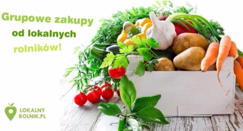 Zdjęcie Ewa Witek - fotografia