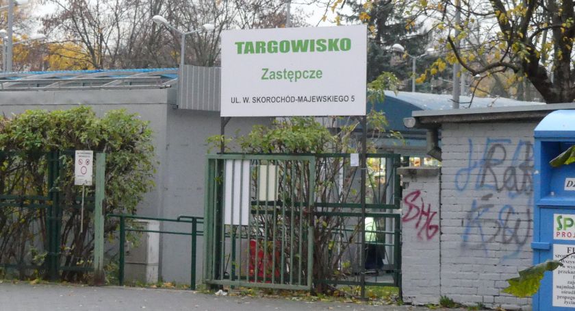 Zdjęcie Grzegorz  Wysocki - fotografia