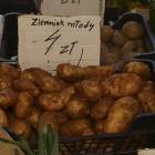 zdjęcie nr 10
