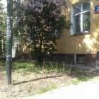 zdjęcie nr 14