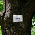 zdjęcie nr 134