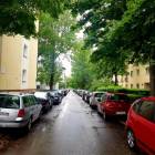 zdjęcie nr 7
