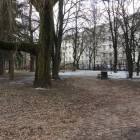 zdjęcie nr 29