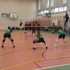 Fotka nr 5 z 7