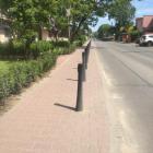 Fotka nr 5 z 6