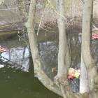 zdjęcie nr 56
