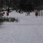 zdjęcie nr 17
