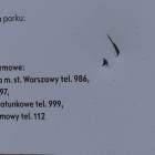 Fotka nr 3 z 11