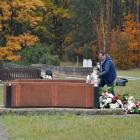 zdjęcie nr 117