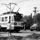 zdjęcie nr 91