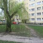 Fotka nr 3 z 26