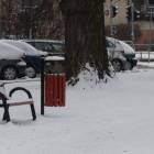 zdjęcie nr 33
