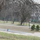 zdjęcie nr 16