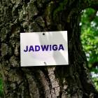 zdjęcie nr 131