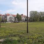 Fotka nr 4 z 10