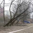 zdjęcie nr 15