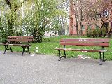 zdjęcie nr 10
