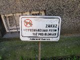 zdjęcie nr 42