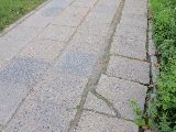 zdjęcie nr 50