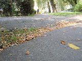 zdjęcie nr 52