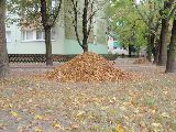 zdjęcie nr 57