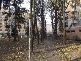 zdjęcie nr 89