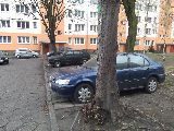 zdjęcie nr 94