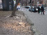 zdjęcie nr 98