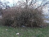 zdjęcie nr 138