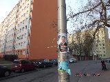 zdjęcie nr 149