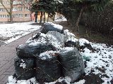zdjęcie główne