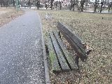 zdjęcie nr 11