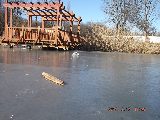 zdjęcie nr 13