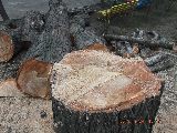 Nawet pomarańczowy znaczek niewyraźny