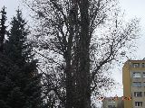 tniemy dalej