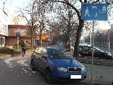 zdjęcie nr 15