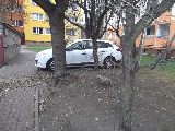 zdjęcie nr 30